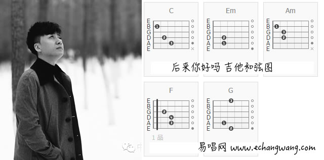 张磊 后来你好吗吉他谱